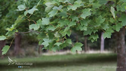 Desktop Wallpaper 11 [1920x1080]