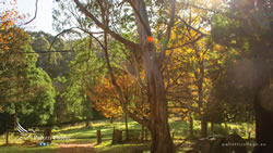 Desktop Wallpaper 07 [1920x1080]